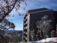 Let's See What We Have Here